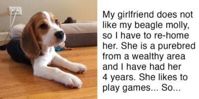 Girlfriend Gives Man Ultimatum, requesting to get rid of the dog or else she will leave him – his reaction is speechless