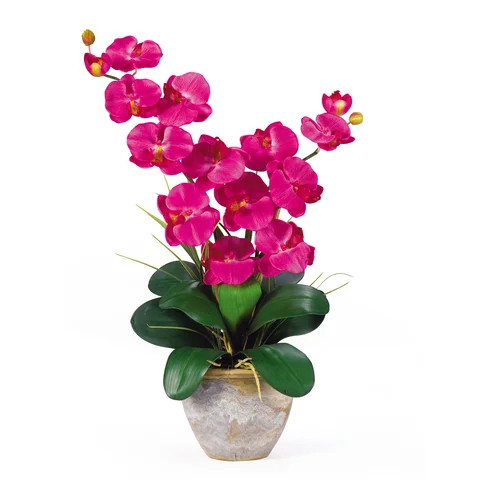 Click for more info about Double Phalaenopsis Silk Orchid Flowers in Beauty Pink