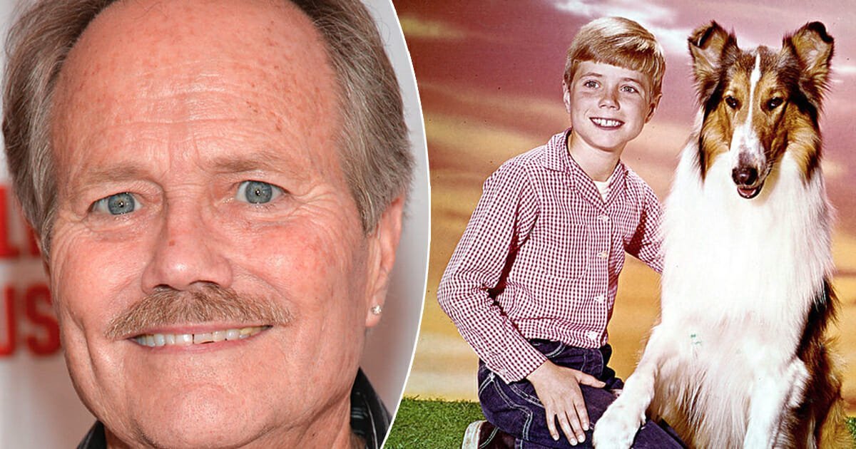 Jon Provost Aka Little Timmy From ‘lassie Celebrates His 72nd Birthday And Hes Aging Like A 